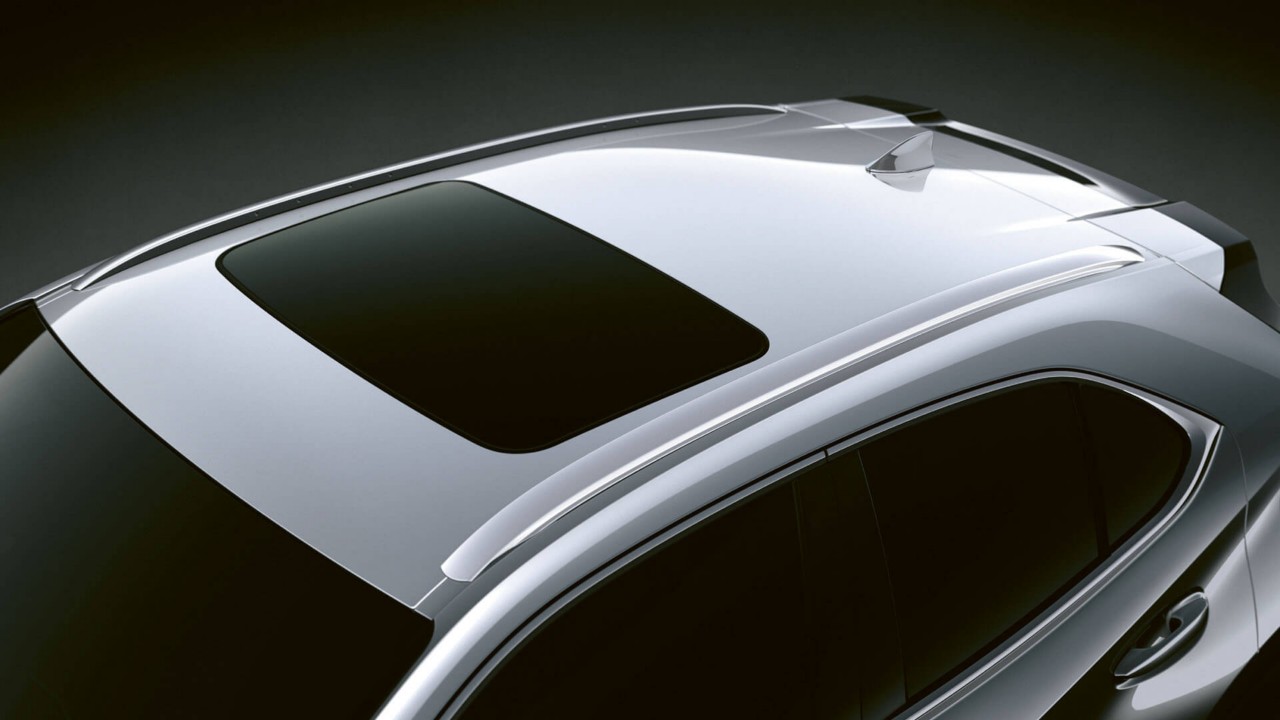 Lexus UX 300e roof graphic 